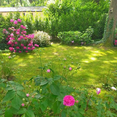 Vakantie Veluwe Wageningen Dış mekan fotoğraf