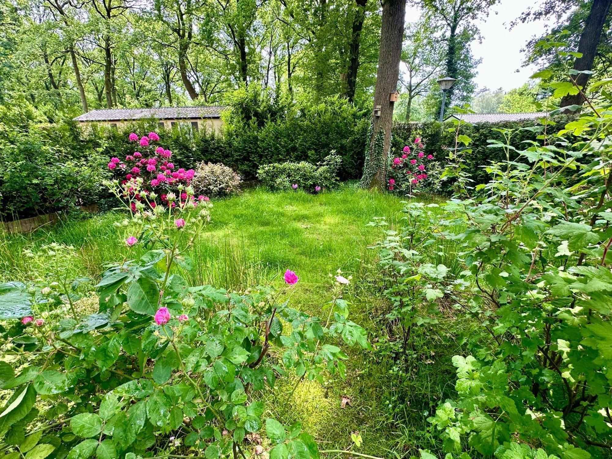 Vakantie Veluwe Wageningen Dış mekan fotoğraf