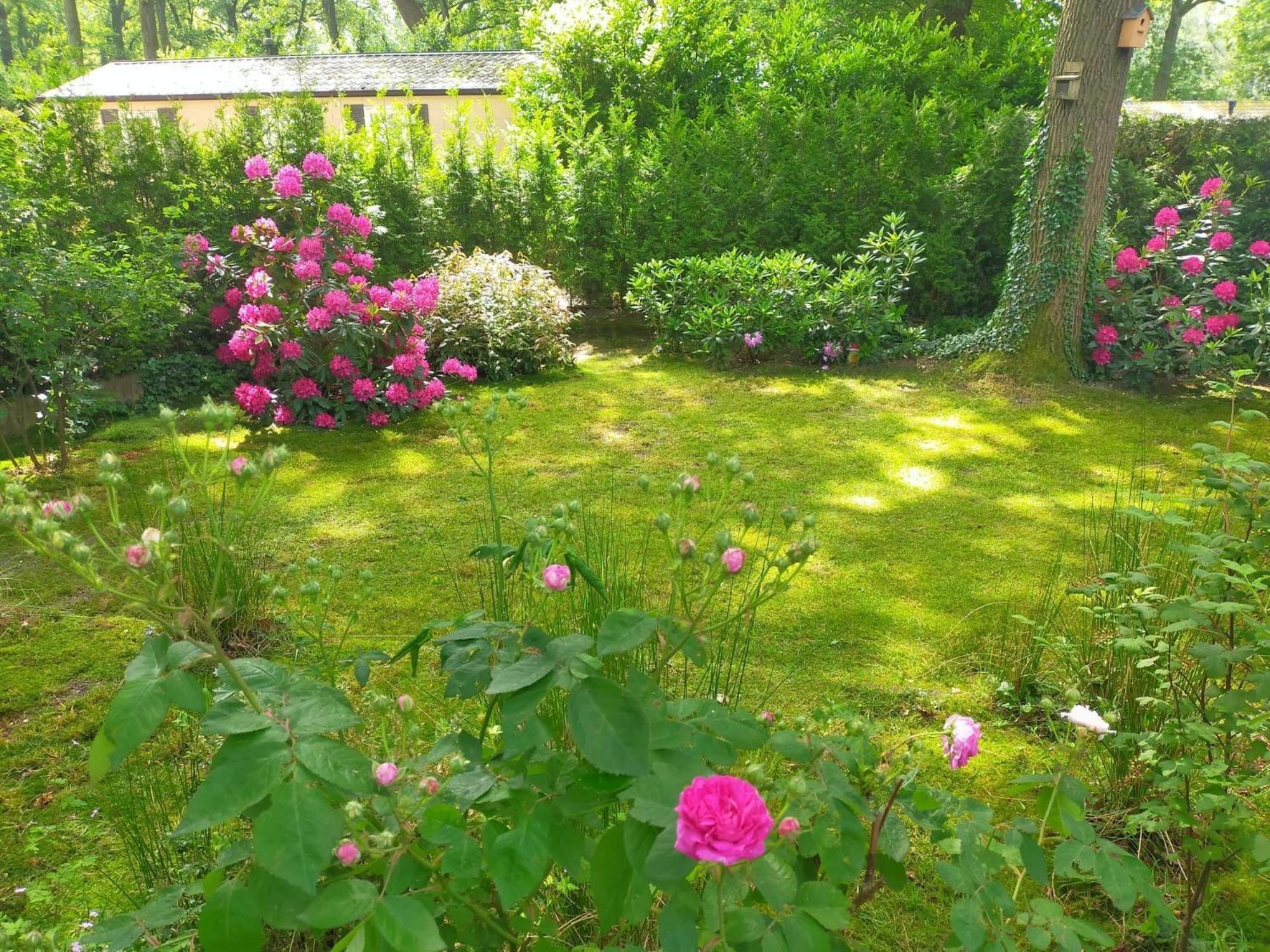 Vakantie Veluwe Wageningen Dış mekan fotoğraf