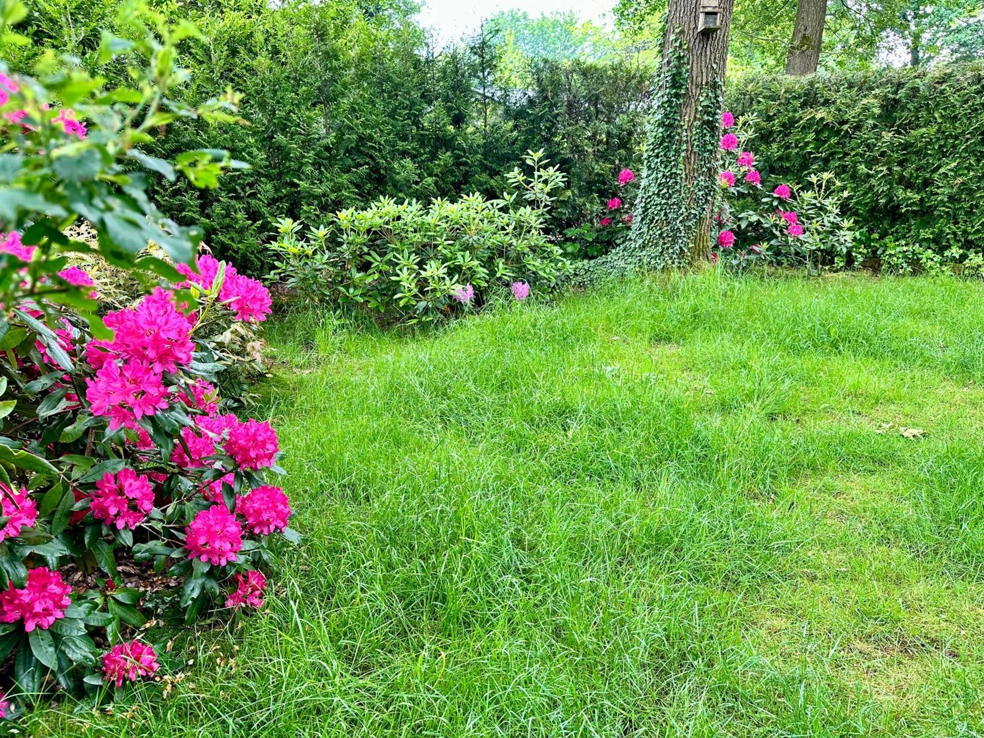 Vakantie Veluwe Wageningen Dış mekan fotoğraf