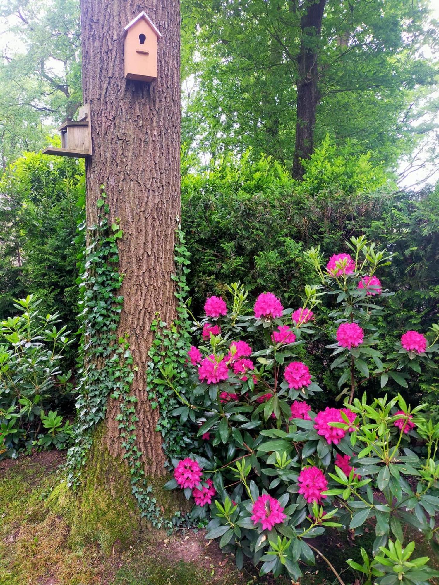 Vakantie Veluwe Wageningen Dış mekan fotoğraf